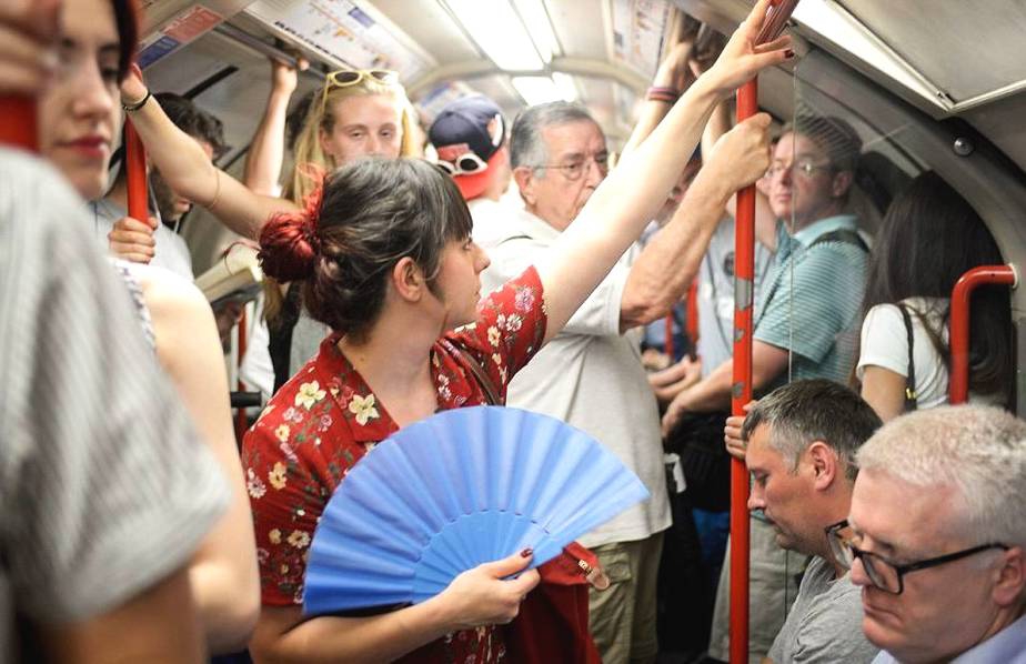 死馆冷狐版安卓汉化版在线观看体验