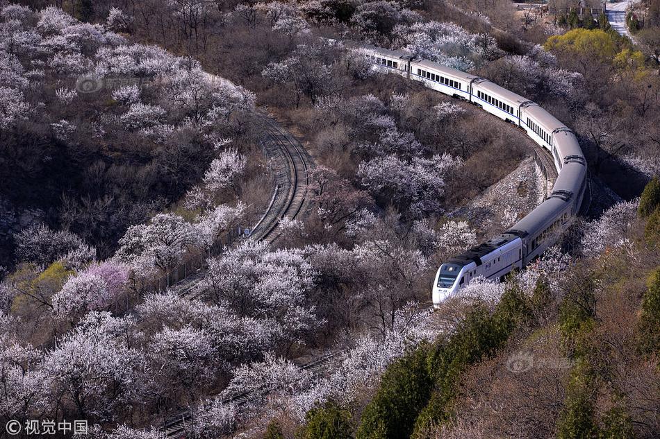 四人混战夏晴子vs沈娜娜画面