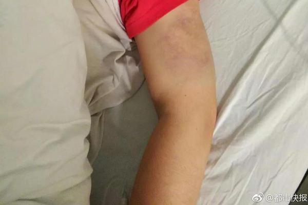 vicineko史莱姆动画免费观看中文版精彩画面