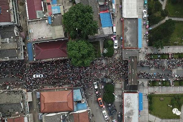 粉色abb苏州晶体ios结构下动画高清观看体验