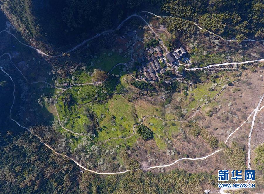 德国复古hxd系列电影高清资源